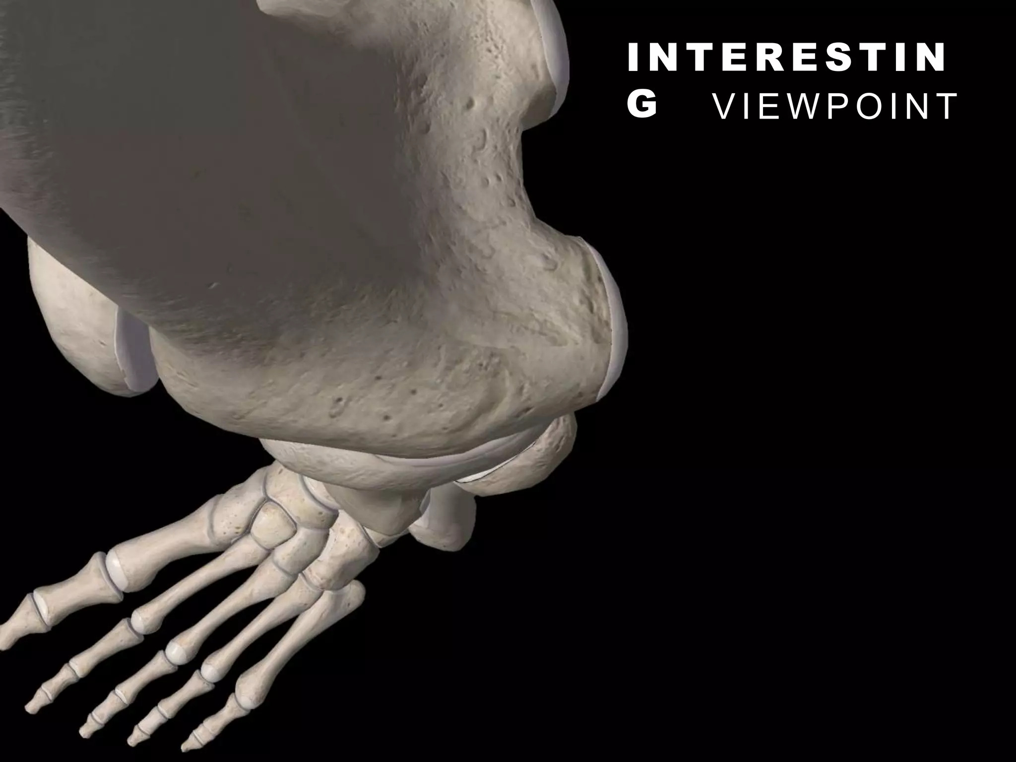 I N T E R E S T I N
G V I E W P O I N T
 