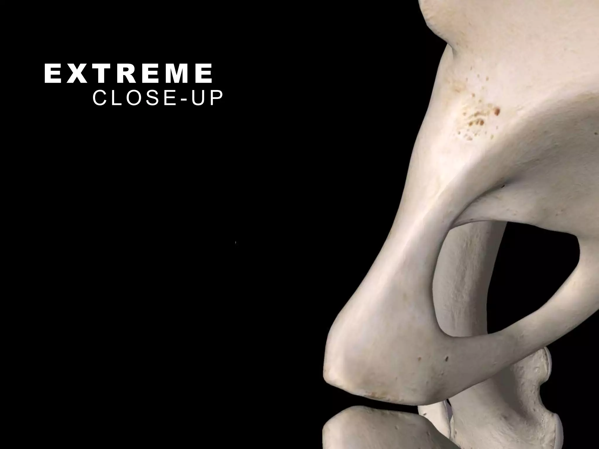 E X T R E M E
C L O S E - U P
 