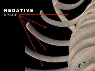 N E G A T I V E
S P A C E
 