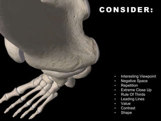 C O N S I D E R :
• Interesting Viewpoint
• Negative Space
• Repetition
• Extreme Close Up
• Rule Of Thirds
• Leading Lines
• Value
• Contrast
• Shape
 