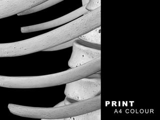 P R I N T
A 4 C O L O U R
 