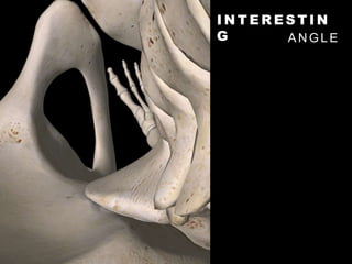 I N T E R E S T I N
G A N G L E
 