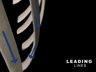 L E A D I N G
L I N E S
 
