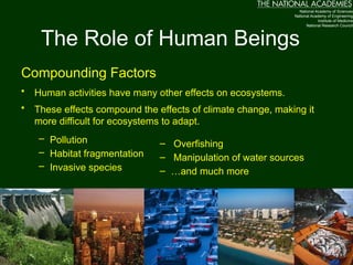 Compounding Effects Climate Risk IGCSE Ecological Impacts of Climate Change | PPTX