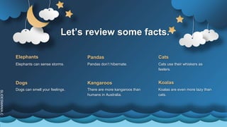SLIDESMANIA.C
Let’s review some facts.
Elephants
Koalas are even more lazy than
cats.
Dogs
Elephants can sense storms.
Cats
Dogs can smell your feelings.
Pandas
Kangaroos Koalas
Pandas don’t hibernate.
There are more kangaroos than
humans in Australia.
Cats use their whiskers as
feelers.
 
