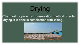 •The most popular fish preservation method is solar
drying. It is done in combination with salting.
Drying
 