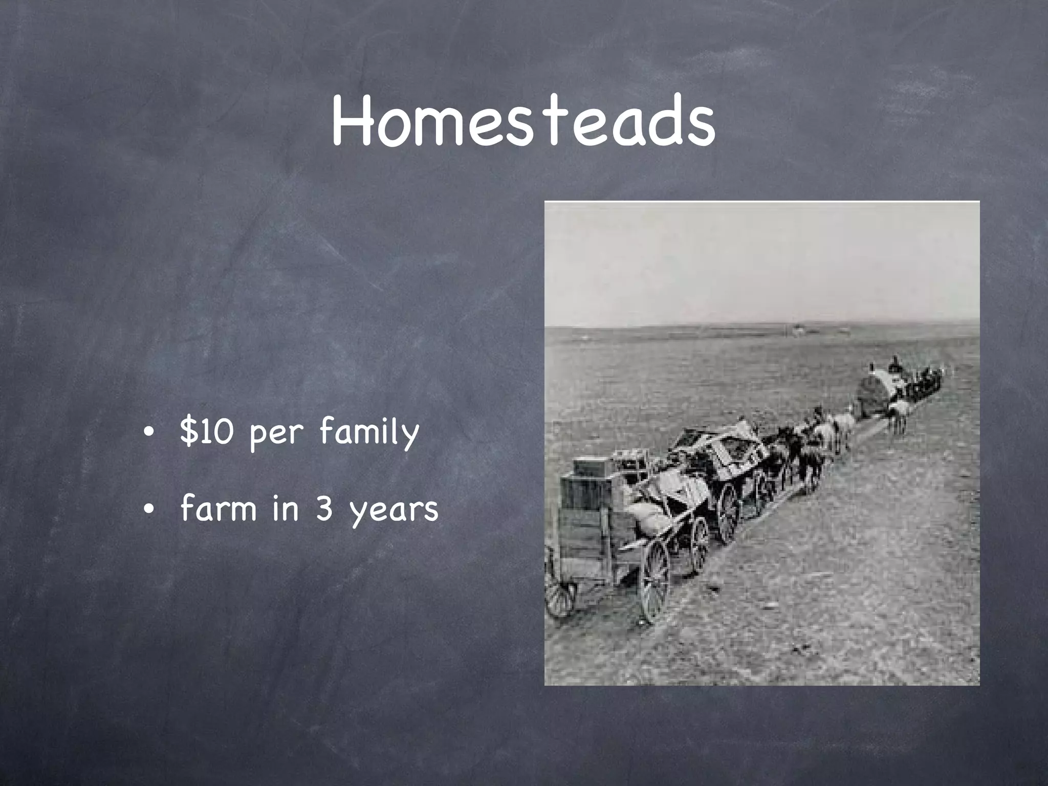 Homesteads $10 per family farm in 3 years 