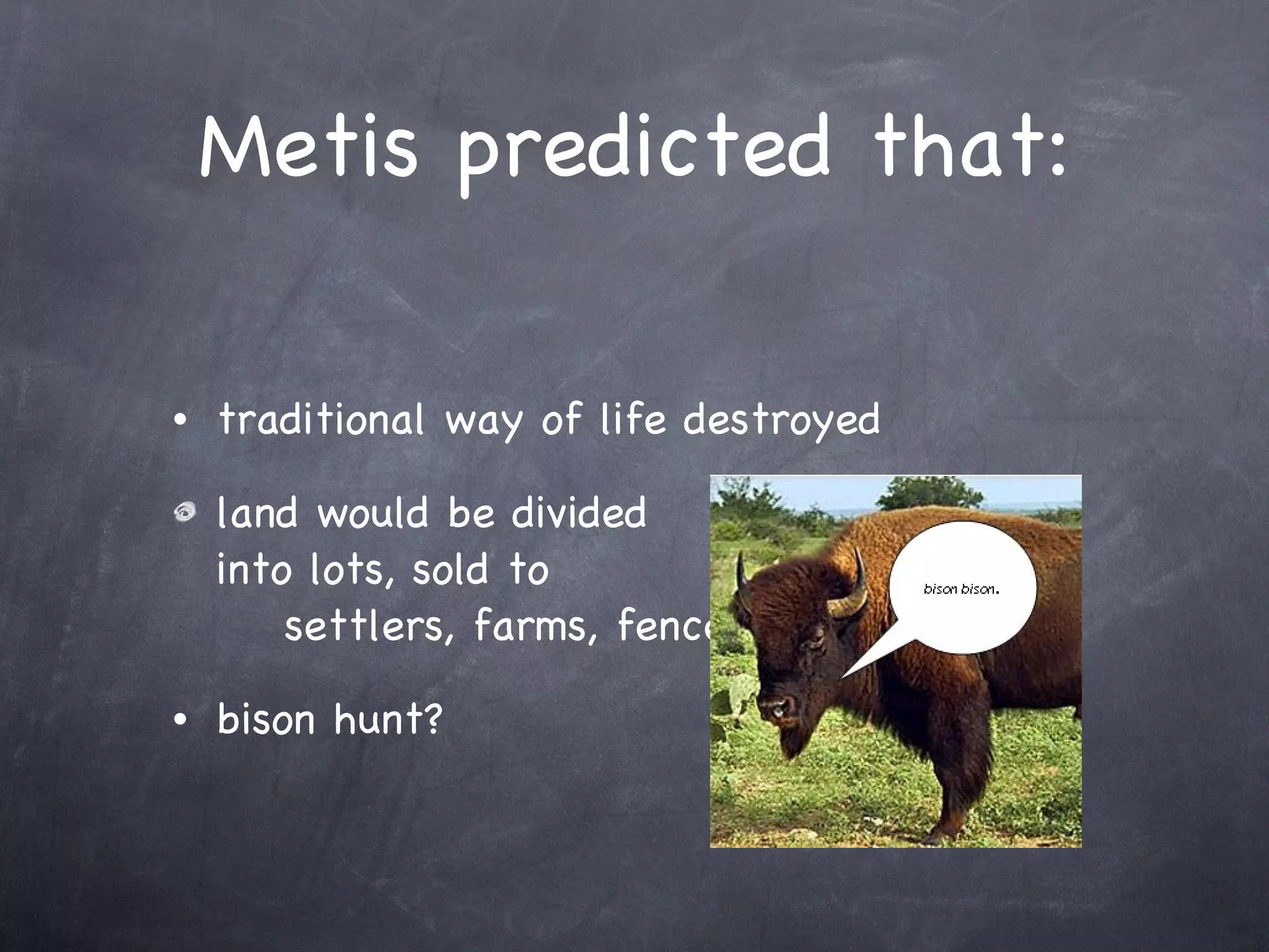Metis predicted that: traditional way of life destroyed land would be divided  into lots, sold to  settlers, farms, fences bison hunt? 