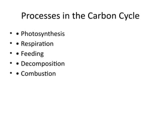 Understanding Photosynthesis, the Carbon Cycle, and Climate Change ...