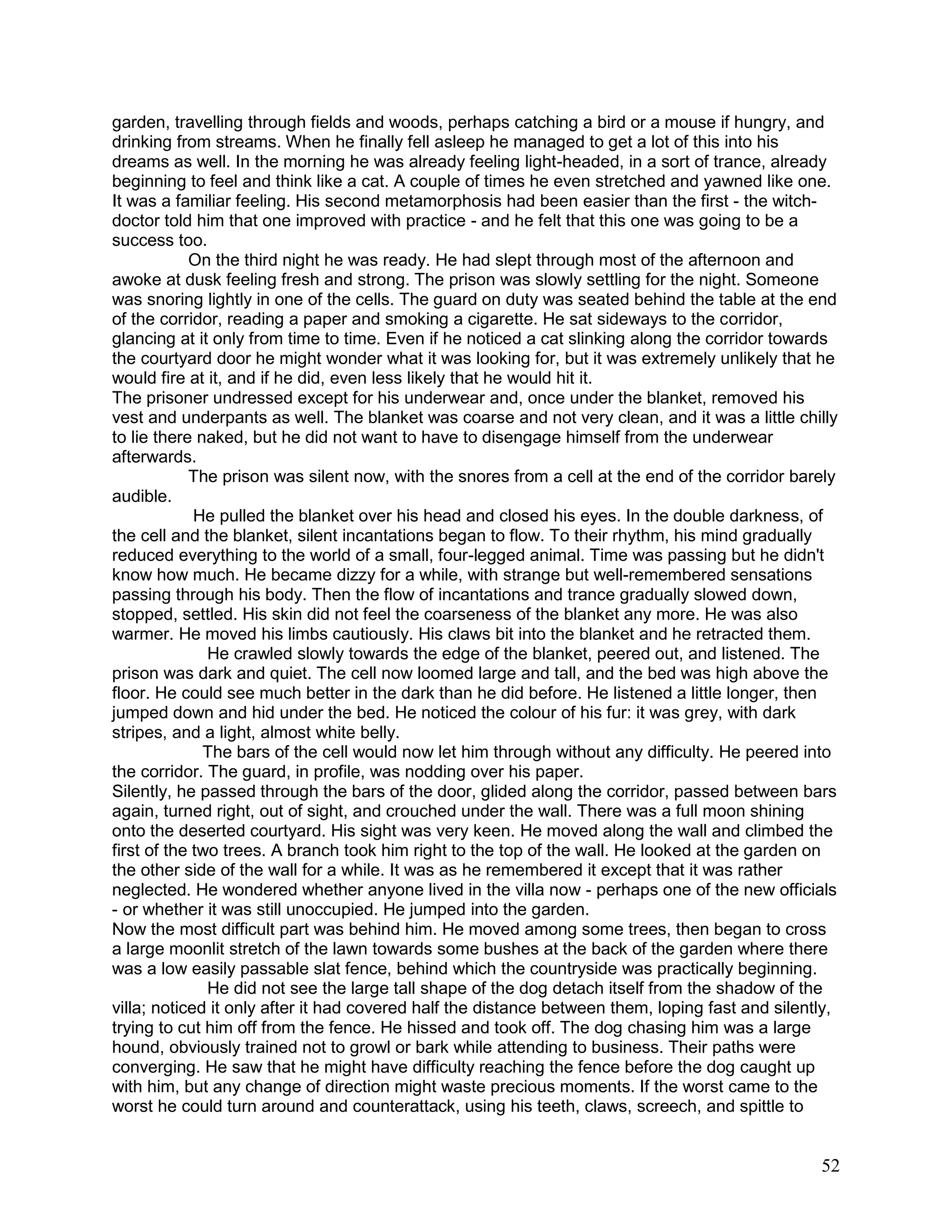 52
garden, travelling through fields and woods, perhaps catching a bird or a mouse if hungry, and
drinking from streams. When he finally fell asleep he managed to get a lot of this into his
dreams as well. In the morning he was already feeling light-headed, in a sort of trance, already
beginning to feel and think like a cat. A couple of times he even stretched and yawned like one.
It was a familiar feeling. His second metamorphosis had been easier than the first - the witch-
doctor told him that one improved with practice - and he felt that this one was going to be a
success too.
On the third night he was ready. He had slept through most of the afternoon and
awoke at dusk feeling fresh and strong. The prison was slowly settling for the night. Someone
was snoring lightly in one of the cells. The guard on duty was seated behind the table at the end
of the corridor, reading a paper and smoking a cigarette. He sat sideways to the corridor,
glancing at it only from time to time. Even if he noticed a cat slinking along the corridor towards
the courtyard door he might wonder what it was looking for, but it was extremely unlikely that he
would fire at it, and if he did, even less likely that he would hit it.
The prisoner undressed except for his underwear and, once under the blanket, removed his
vest and underpants as well. The blanket was coarse and not very clean, and it was a little chilly
to lie there naked, but he did not want to have to disengage himself from the underwear
afterwards.
The prison was silent now, with the snores from a cell at the end of the corridor barely
audible.
He pulled the blanket over his head and closed his eyes. In the double darkness, of
the cell and the blanket, silent incantations began to flow. To their rhythm, his mind gradually
reduced everything to the world of a small, four-legged animal. Time was passing but he didn't
know how much. He became dizzy for a while, with strange but well-remembered sensations
passing through his body. Then the flow of incantations and trance gradually slowed down,
stopped, settled. His skin did not feel the coarseness of the blanket any more. He was also
warmer. He moved his limbs cautiously. His claws bit into the blanket and he retracted them.
He crawled slowly towards the edge of the blanket, peered out, and listened. The
prison was dark and quiet. The cell now loomed large and tall, and the bed was high above the
floor. He could see much better in the dark than he did before. He listened a little longer, then
jumped down and hid under the bed. He noticed the colour of his fur: it was grey, with dark
stripes, and a light, almost white belly.
The bars of the cell would now let him through without any difficulty. He peered into
the corridor. The guard, in profile, was nodding over his paper.
Silently, he passed through the bars of the door, glided along the corridor, passed between bars
again, turned right, out of sight, and crouched under the wall. There was a full moon shining
onto the deserted courtyard. His sight was very keen. He moved along the wall and climbed the
first of the two trees. A branch took him right to the top of the wall. He looked at the garden on
the other side of the wall for a while. It was as he remembered it except that it was rather
neglected. He wondered whether anyone lived in the villa now - perhaps one of the new officials
- or whether it was still unoccupied. He jumped into the garden.
Now the most difficult part was behind him. He moved among some trees, then began to cross
a large moonlit stretch of the lawn towards some bushes at the back of the garden where there
was a low easily passable slat fence, behind which the countryside was practically beginning.
He did not see the large tall shape of the dog detach itself from the shadow of the
villa; noticed it only after it had covered half the distance between them, loping fast and silently,
trying to cut him off from the fence. He hissed and took off. The dog chasing him was a large
hound, obviously trained not to growl or bark while attending to business. Their paths were
converging. He saw that he might have difficulty reaching the fence before the dog caught up
with him, but any change of direction might waste precious moments. If the worst came to the
worst he could turn around and counterattack, using his teeth, claws, screech, and spittle to
 