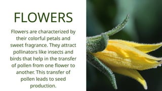 GRADE 8 SCIENCE PARTS OF THE PLANTS.pptx