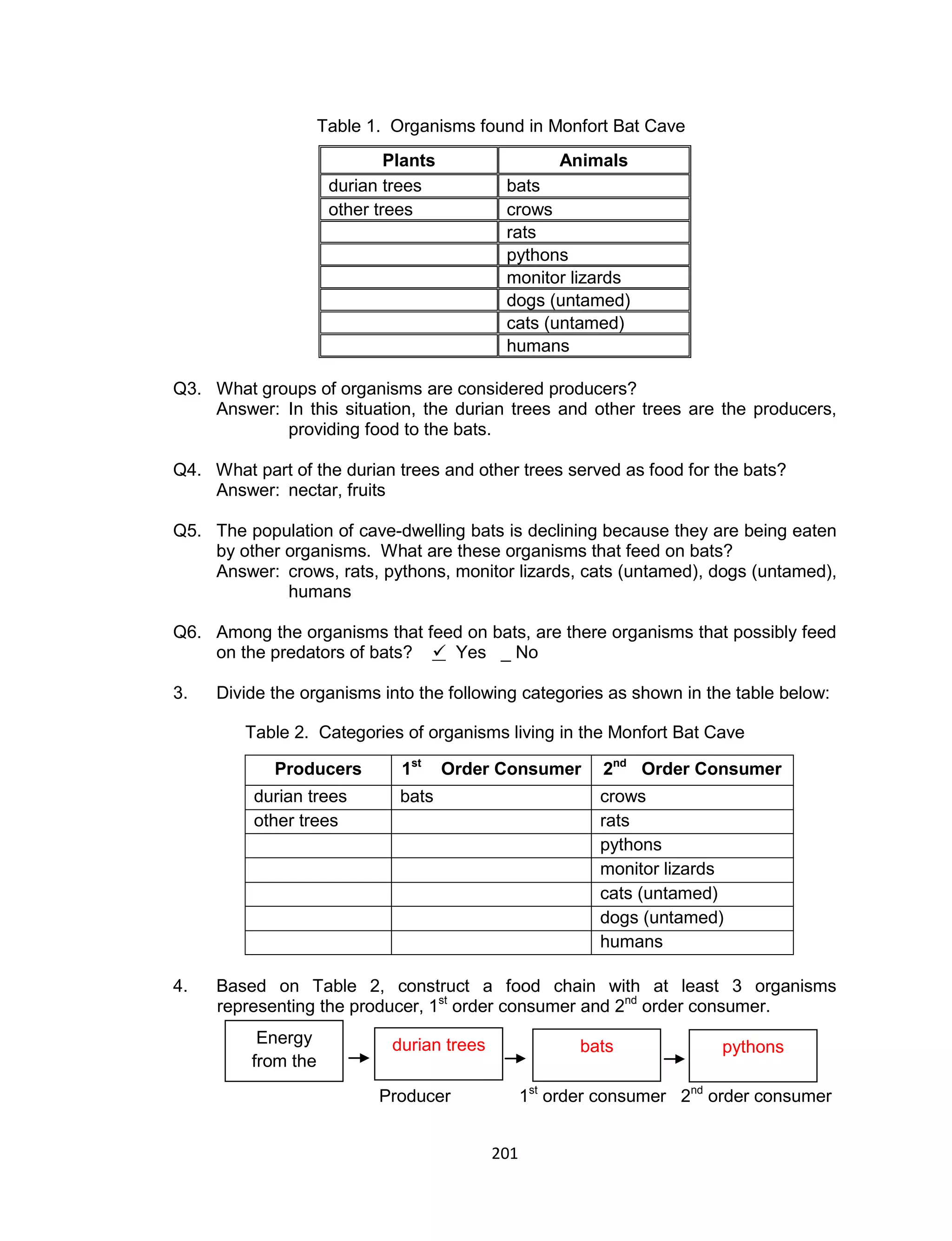 201
Table 1. Organisms found in Monfort Bat Cave
Plants Animals
durian trees bats
other trees crows
rats
pythons
monitor lizards
dogs (untamed)
cats (untamed)
humans
Q3. What groups of organisms are considered producers?
Answer: In this situation, the durian trees and other trees are the producers,
providing food to the bats.
Q4. What part of the durian trees and other trees served as food for the bats?
Answer: nectar, fruits
Q5. The population of cave-dwelling bats is declining because they are being eaten
by other organisms. What are these organisms that feed on bats?
Answer: crows, rats, pythons, monitor lizards, cats (untamed), dogs (untamed),
humans
Q6. Among the organisms that feed on bats, are there organisms that possibly feed
on the predators of bats?  Yes _ No
3. Divide the organisms into the following categories as shown in the table below:
Table 2. Categories of organisms living in the Monfort Bat Cave
Producers 1st
Order Consumer 2nd
Order Consumer
durian trees bats crows
other trees rats
pythons
monitor lizards
cats (untamed)
dogs (untamed)
humans
4. Based on Table 2, construct a food chain with at least 3 organisms
representing the producer, 1st
order consumer and 2nd
order consumer.
Producer 1st
order consumer 2nd
order consumer
Energy
from the
Sun
durian trees bats pythons
 