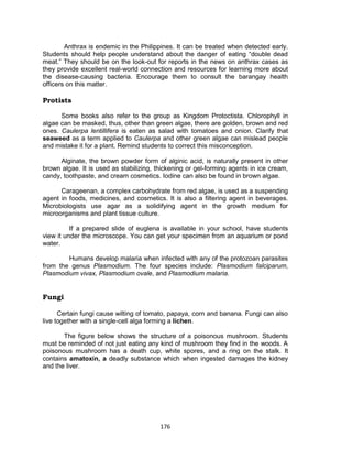 176
Anthrax is endemic in the Philippines. It can be treated when detected early.
Students should help people understand about the danger of eating “double dead
meat.” They should be on the look-out for reports in the news on anthrax cases as
they provide excellent real-world connection and resources for learning more about
the disease-causing bacteria. Encourage them to consult the barangay health
officers on this matter.
Protists
Some books also refer to the group as Kingdom Protoctista. Chlorophyll in
algae can be masked, thus, other than green algae, there are golden, brown and red
ones. Caulerpa lentillifera is eaten as salad with tomatoes and onion. Clarify that
seaweed as a term applied to Caulerpa and other green algae can mislead people
and mistake it for a plant. Remind students to correct this misconception.
Alginate, the brown powder form of alginic acid, is naturally present in other
brown algae. It is used as stabilizing, thickening or gel-forming agents in ice cream,
candy, toothpaste, and cream cosmetics. Iodine can also be found in brown algae.
Carageenan, a complex carbohydrate from red algae, is used as a suspending
agent in foods, medicines, and cosmetics. It is also a filtering agent in beverages.
Microbiologists use agar as a solidifying agent in the growth medium for
microorganisms and plant tissue culture.
If a prepared slide of euglena is available in your school, have students
view it under the microscope. You can get your specimen from an aquarium or pond
water.
Humans develop malaria when infected with any of the protozoan parasites
from the genus Plasmodium. The four species include: Plasmodium falciparum,
Plasmodium vivax, Plasmodium ovale, and Plasmodium malaria.
Fungi
Certain fungi cause wilting of tomato, papaya, corn and banana. Fungi can also
live together with a single-cell alga forming a lichen.
The figure below shows the structure of a poisonous mushroom. Students
must be reminded of not just eating any kind of mushroom they find in the woods. A
poisonous mushroom has a death cup, white spores, and a ring on the stalk. It
contains amatoxin, a deadly substance which when ingested damages the kidney
and the liver.
 