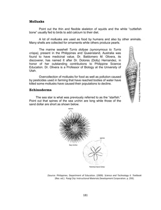 181
Mollusks
Point out the thin and flexible skeleton of squids and the white “cuttlefish
bone” usually fed to birds to add calcium to their diet.
A lot of mollusks are used as food by humans and also by other animals.
Many shells are collected for ornaments while others produce pearls.
The marine seashell Turris dollyae (synonymous to Turris
crispa), present in the Philippines and Queensland, Australia was
found to have medicinal value. Dr. Baldomero M. Olivera, its
discoverer, has named it after Dr. Dolores (Dolly) Hernandez, in
honor of her outstanding contributions to Philippine Science
Education. Dr. Olivera is a Professor of Biology at the University of
Utah.
Overcollection of mollusks for food as well as pollution caused
by pesticides used in farming that have reached bodies of water have
killed some mollusks have caused their populations to decline.
Echinoderms
The sea star is what was previously referred to as the “starfish.”
Point out that spines of the sea urchin are long while those of the
sand dollar are short as shown below.
(Source: Philippines. Department of Education. (2009). Science and Technology II. Textbook
(Rev. ed.). Pasig City: Instructional Materials Development Corporation. p. 293).
Photo:CourtesyofDr.BaldomeroM.Olivera
 