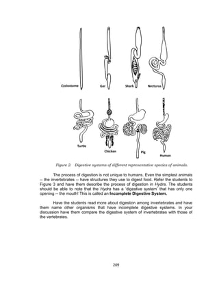 209
The process of digestion is not unique to humans. Even the simplest animals
-- the invertebrates -- have structures they use to digest food. Refer the students to
Figure 3 and have them describe the process of digestion in Hydra. The students
should be able to note that the Hydra has a ‘digestive system’ that has only one
opening -- the mouth! This is called an Incomplete Digestive System.
Have the students read more about digestion among invertebrates and have
them name other organisms that have incomplete digestive systems. In your
discussion have them compare the digestive system of invertebrates with those of
the vertebrates.
Figure 2. Digestive systems of different representative species of animals.
 