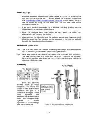 215
Teaching Tips
1. Activity 4 features a video clip that tracks the fate of food as it is moved all the
way through the digestive tract. You can access the video clip through this
link: http://www.youtube.com/watch?v=e3O1AdlC8bI. Note however, that you
are not limited to using just this video clip. You can use other similar
multimedia resources.
2. It will help if you watch the video clip in advance. This way, you can help the
students to understand the narration better.
3. Have the students take down notes as they watch the video clip.
Alternatively, you can start discussion
4. After watching the video clip, have the students narrate what they understood
about the video clip. You can also use the questions in the Learning Material
to guide the class through the discussion.
Answers to Questions
Q16. The video clip shows the changes that food goes through as it gets digested
and moved through the different parts of the digestive tract.
Q17. What was shown in the movie is the digestion of a mashed food for infants.
The food disintegrates as it mixes with the liquid content of the stomach.
Other changes were also shown as the food is moved from one part of the
digestive tract to the other.
Summary
The digestive system
carries out the following
processes: ingestion of food,
digestion of food, absorption
of nutrients, and elimination
of wastes (refer to Figure 5).
Have the students
describe each of these
processes. They should also
be able to infer that all these
processes are part of a
continuous biological event
called digestion and
therefore, are related to each
other. These processes work
together to enable
organisms to obtain energy
from the food they eat. Figure 4. Peristalsis in the esophagus.
 