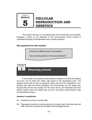223
CELLULAR
REPRODUCTION AND
GENETICS
This module will focus on the relationships of the chromosome and heredity.
Emphasis is given on the behaviour of the chromosomes during meiosis to
understand the basis of the Mendelian laws of modern genetics.
Key questions for this module
In this activity, the students should be able to identify in the white fish blastula
and onion root tip slides the mitotic cells based on the descriptions given. The
students should also be able to distinguish these cells from the interphase or non-
dividing cells. Note that during interphase, the chromosomes are not readily seen
because they are thin and uncoiled. For the onion root tip, the interphase cells have
distinct nucleoli, which are readily seen as one or two darkly stained bodies inside
the well-defined nucleus.
Answers to questions:
Q1. Centrioles are found in animal cells.
Q2. Cleavage furrows form in animal cells but not in plant cells. Plant cells have cell
walls, which do not permit the formation of the cleavage furrows.
Observing mitosis
Activity
1
What are the different types of cell division?
How are traits passed on to the next generation?
Unit 4
MODULE
5
 