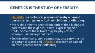 GENETICS ISTHE STUDY OF HEREDITY.
Heredity is a biological process whereby a parent
passes certain genes onto their children or offspring.
Every child inherits genes from both of their biological
parents and these genes, in turn, express specific
traits. Some of these traits may be physical for
example hair and eye color etc.
On the other hand, some genes may also carry the risk
of certain diseases and disorders that may be passed
on from parents to their offspring.
 