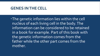 GENES INTHE CELL
The genetic information lies within the cell
nucleus of each living cell in the body.The
information can be considered to be retained
in a book for example. Part of this book with
the genetic information comes from the
father while the other part comes from the
mother.
 