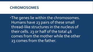 CHROMOSOMES
The genes lie within the chromosomes.
Humans have 23 pairs of these small
thread-like structures in the nucleus of
their cells. 23 or half of the total 46
comes from the mother while the other
23 comes from the father.
 