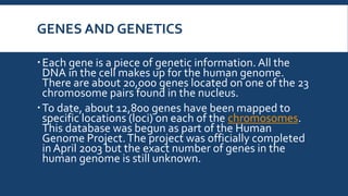 GENES AND GENETICS
Each gene is a piece of genetic information. All the
DNA in the cell makes up for the human genome.
There are about 20,000 genes located on one of the 23
chromosome pairs found in the nucleus.
To date, about 12,800 genes have been mapped to
specific locations (loci) on each of the chromosomes.
This database was begun as part of the Human
Genome Project.The project was officially completed
in April 2003 but the exact number of genes in the
human genome is still unknown.
 