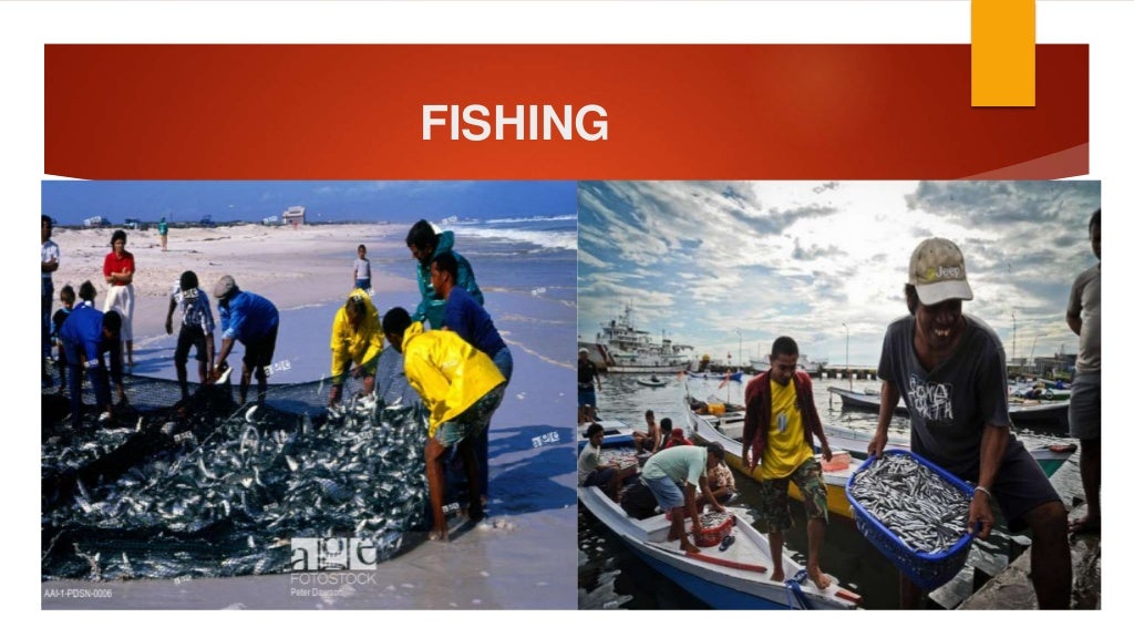 Grade 8 term 3 Geogeography (settlement)