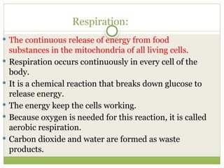 Grade 8 Topic 6 B The breathing system grade 8 [Autosaved].pptx