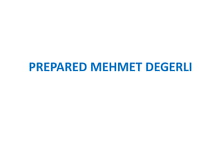 PREPARED MEHMET DEGERLI
 