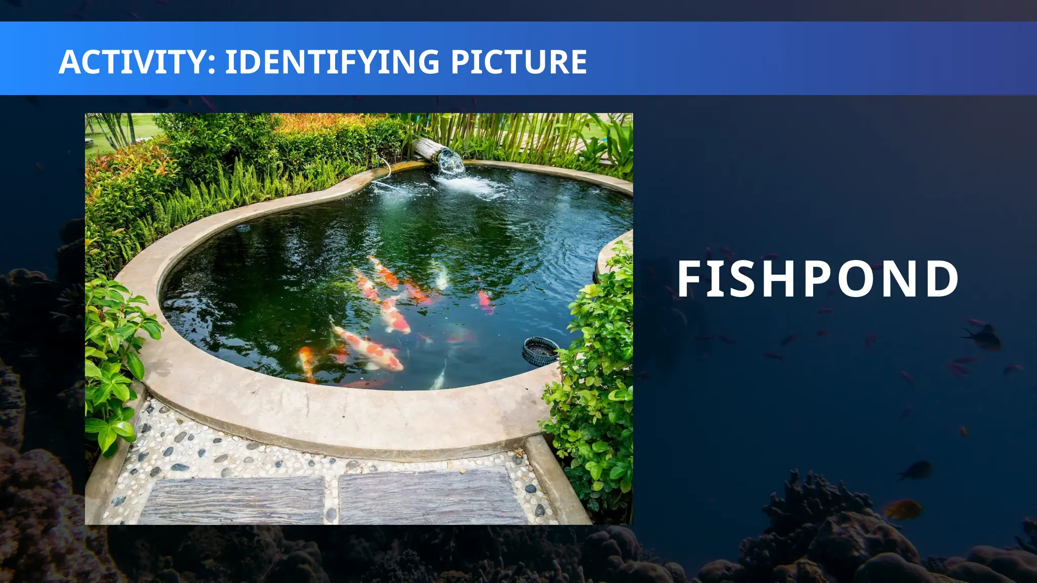 AQUACULTURE CAREER AND BUSINESS OPPORTUNITIES | PPTX