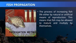 AQUACULTURE CAREER AND BUSINESS OPPORTUNITIES | PPTX