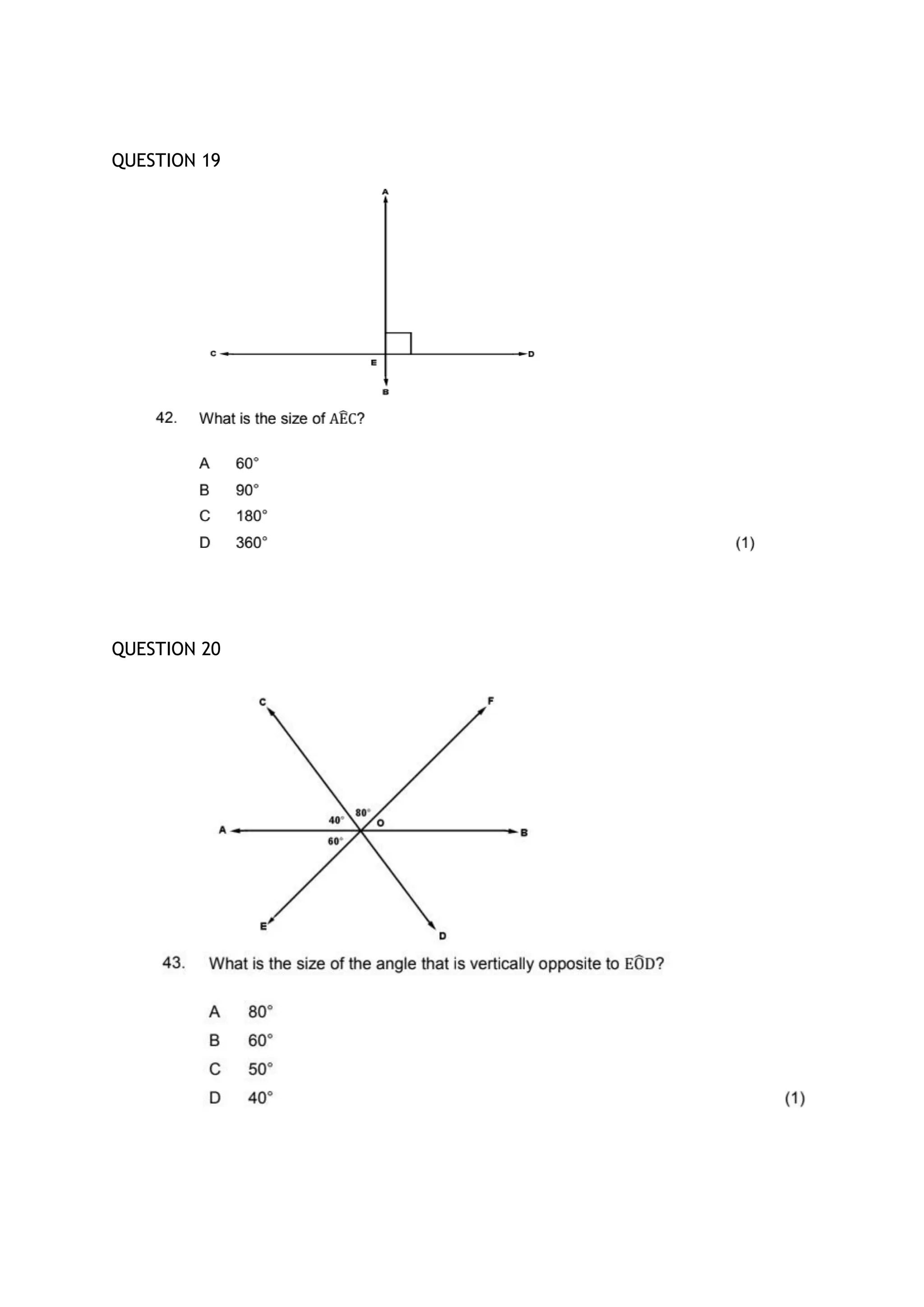 QUESTION 19
QUESTION 20