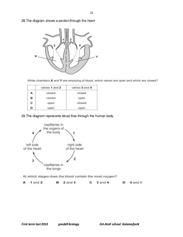 biology term test papers Rahula college, matara-2016 pilot paper-biology dushan madhuka october 3 biology i final term test (with answers) gr13 2011 southland college-galle. biology term test papers Rahula college, matara-2016 pilot paper-biology dushan madhuka october 3 biology i final term test (with answers) gr13 2011 southland college-galle.