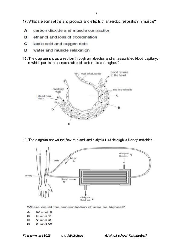Term paper in biology