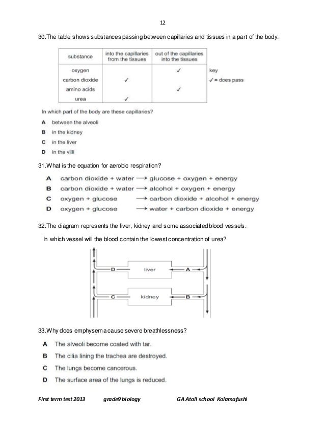 Grade 9 biology paper 1 term 1 2013 copy