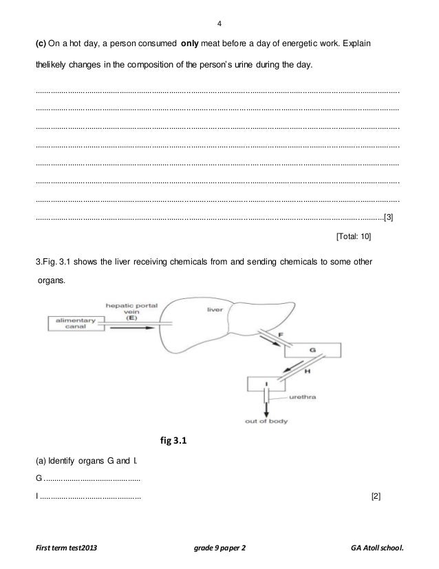Safe term paper services reviews