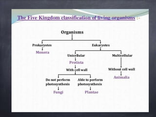 Grade 9 ch 7 | PPTX