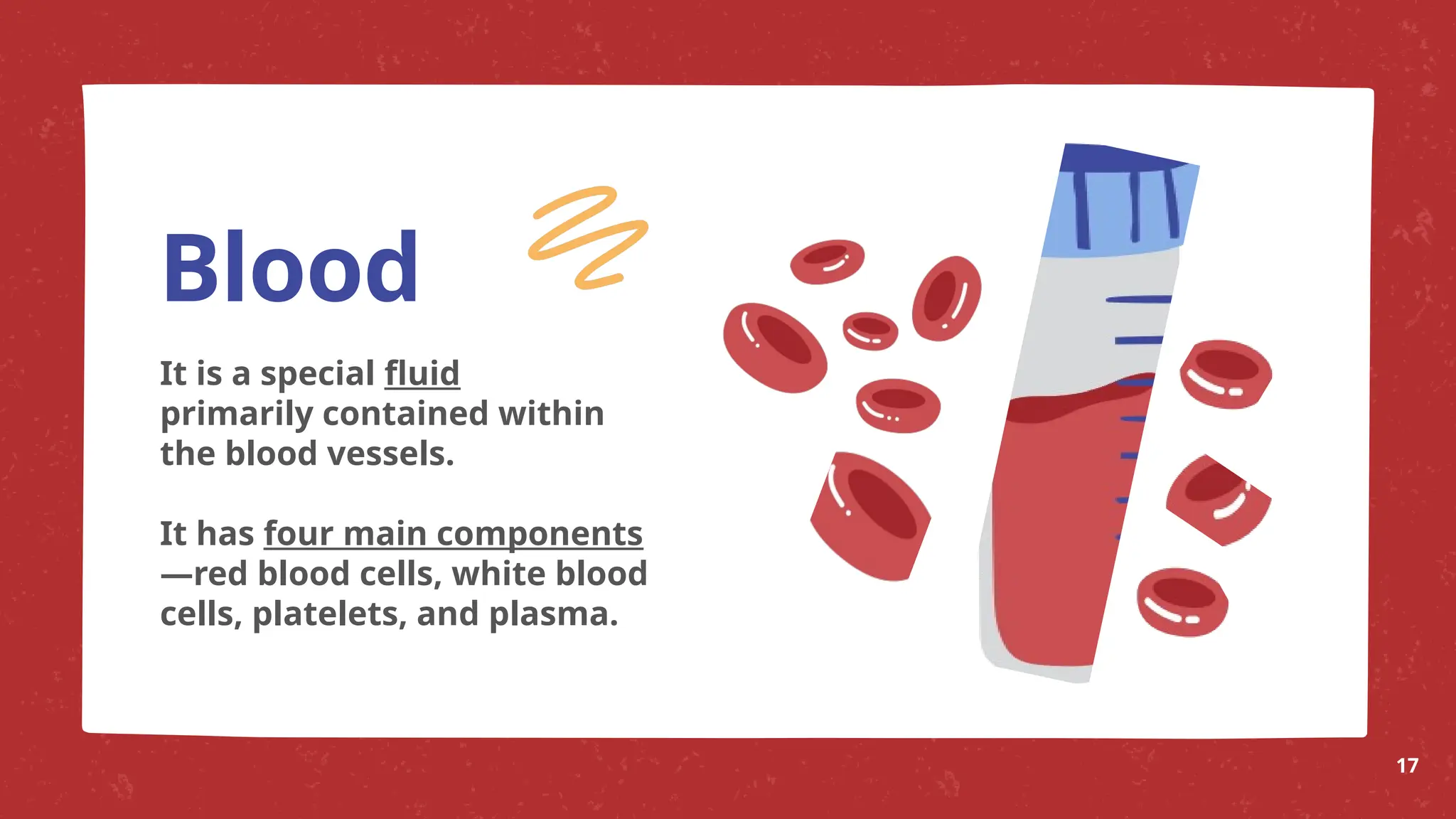 It is a special fluid
primarily contained within
the blood vessels.
It has four main components
—red blood cells, white blood
cells, platelets, and plasma.
Blood
17
 