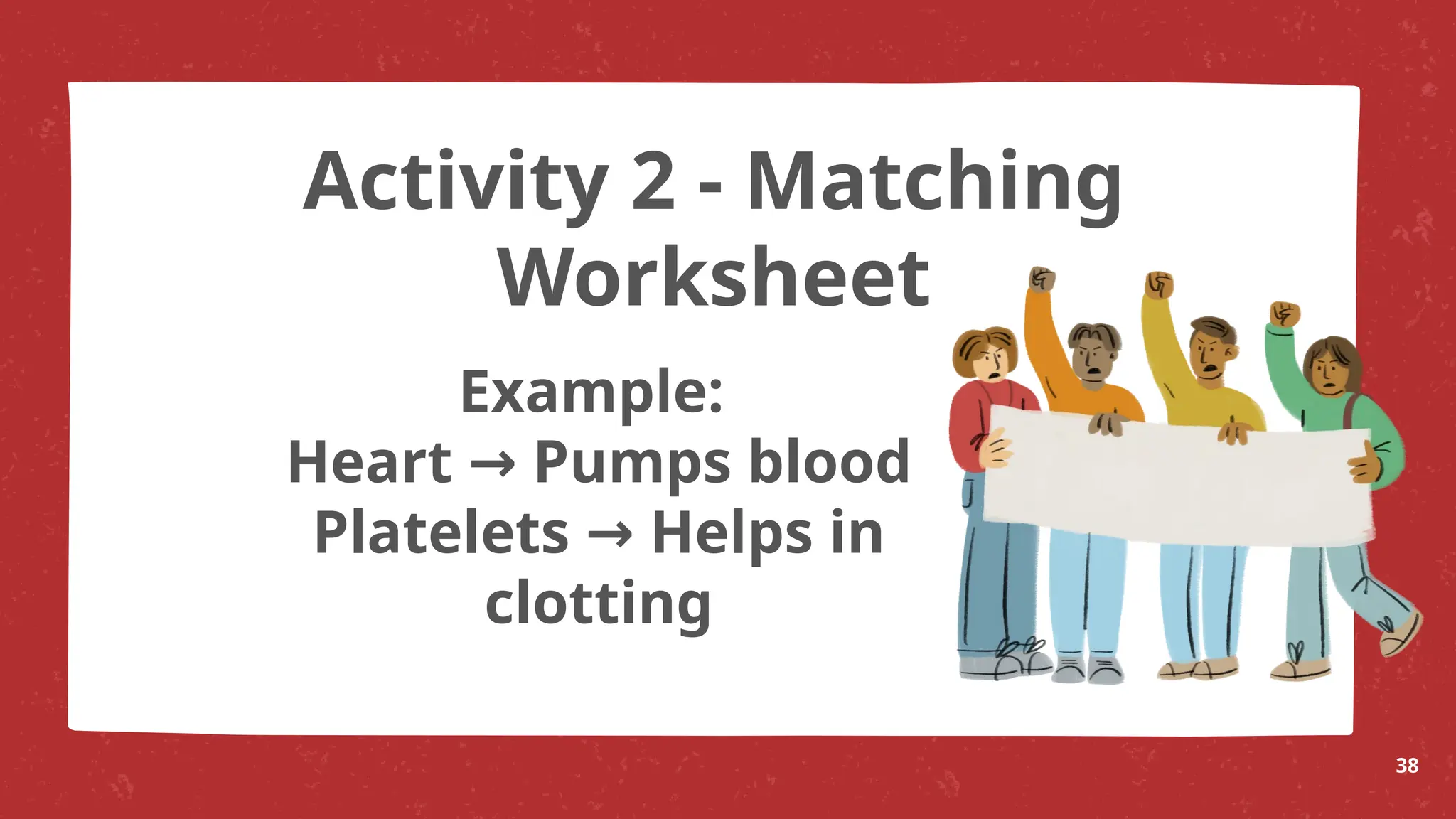 Example:
Heart Pumps blood
→
Platelets Helps in
→
clotting
38
Activity 2 - Matching
Worksheet
 