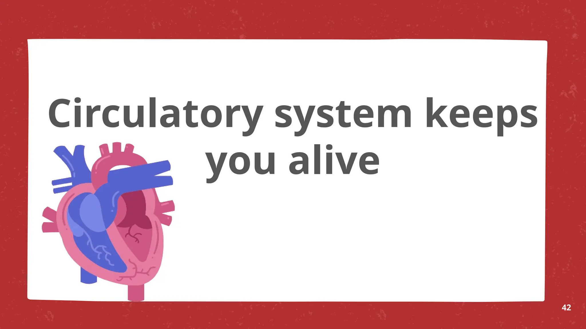 Circulatory system keeps
you alive
42
 