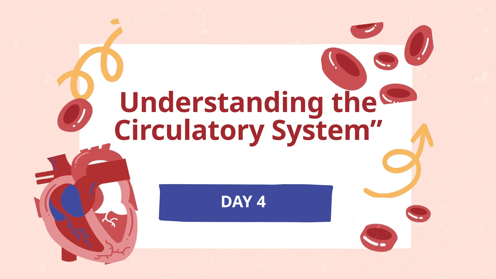 Understanding the
Circulatory System”
DAY 4
 