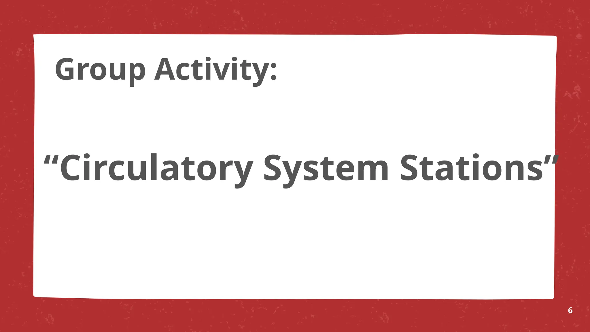 “Circulatory System Stations”
6
Group Activity:
 