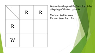 Activity on Codominance for Grade 9 Learners | PPTX