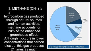 3. METHANE (CH4) is
a
hydrocarbon gas produced
through natural sources
and human activities,
methane accounts for
20% of the enhanced
greenhouse effect.
Although it occurs in lower
concentrations that carbon
dioxide, this gas produces
21 times as much
 