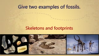 Give two examples of fossils.
Skeletons and footprints
 