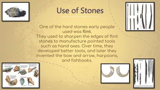 Use of Stones
One of the hard stones early people
used was flint.
They used to sharpen the edges of flint
stones to manufacture pointed tools
such as hand axes. Over time, they
developed better tools, and later they
invented the bow and arrow, harpoons,
and fishhooks.
 