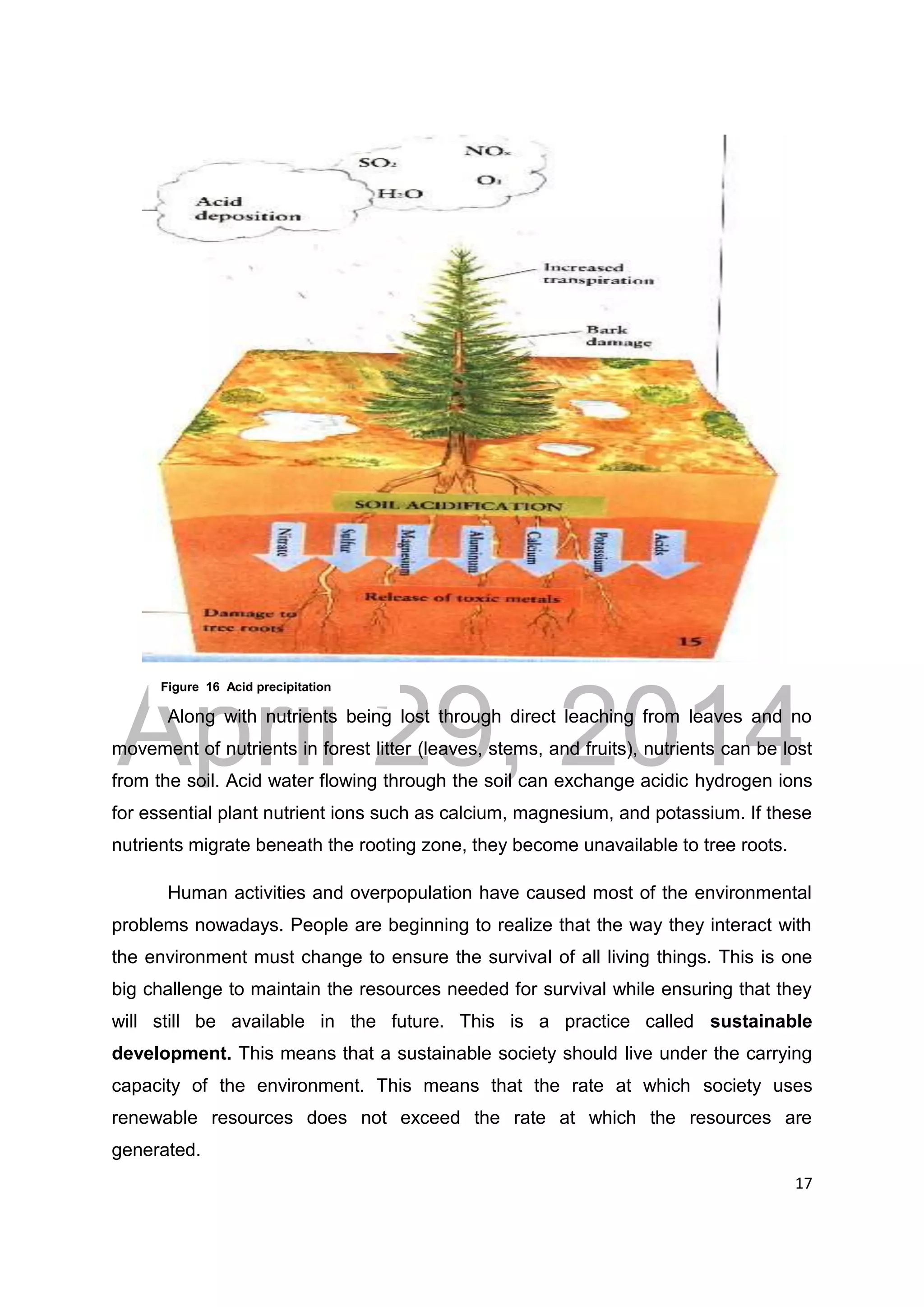 DRAFT
April 29, 2014
17
Along with nutrients being lost through direct leaching from leaves and no
movement of nutrients in forest litter (leaves, stems, and fruits), nutrients can be lost
from the soil. Acid water flowing through the soil can exchange acidic hydrogen ions
for essential plant nutrient ions such as calcium, magnesium, and potassium. If these
nutrients migrate beneath the rooting zone, they become unavailable to tree roots.
Human activities and overpopulation have caused most of the environmental
problems nowadays. People are beginning to realize that the way they interact with
the environment must change to ensure the survival of all living things. This is one
big challenge to maintain the resources needed for survival while ensuring that they
will still be available in the future. This is a practice called sustainable
development. This means that a sustainable society should live under the carrying
capacity of the environment. This means that the rate at which society uses
renewable resources does not exceed the rate at which the resources are
generated.
Figure 16 Acid precipitation
 