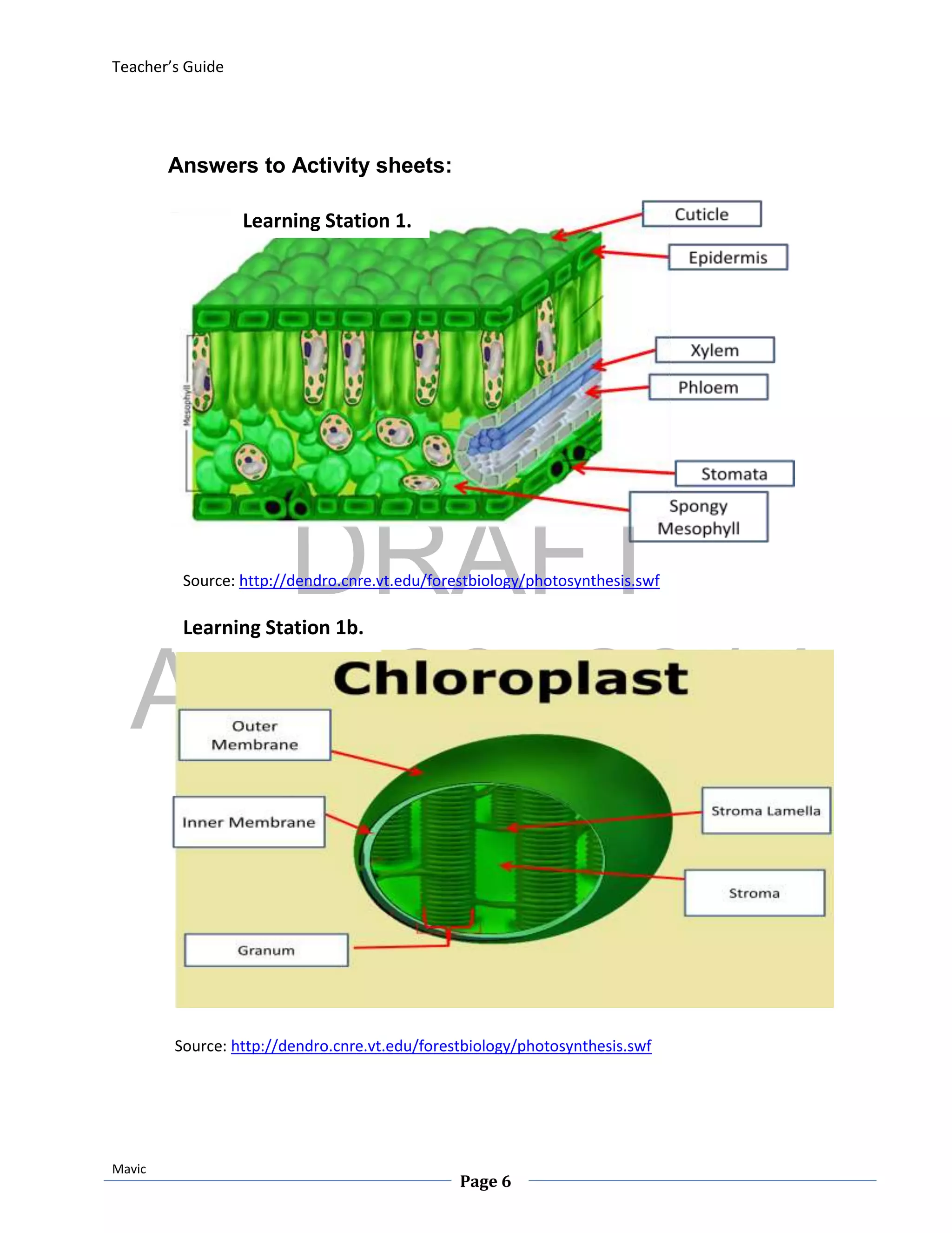 DRAFT
April 29, 2014
Teacher’s Guide
Mavic
Page 6
Answers to Activity sheets:
Source: http://dendro.cnre.vt.edu/forestbiology/photosynthesis.swf
Source: http://dendro.cnre.vt.edu/forestbiology/photosynthesis.swf
Learning Station 1.
Learning Station 1b.
 