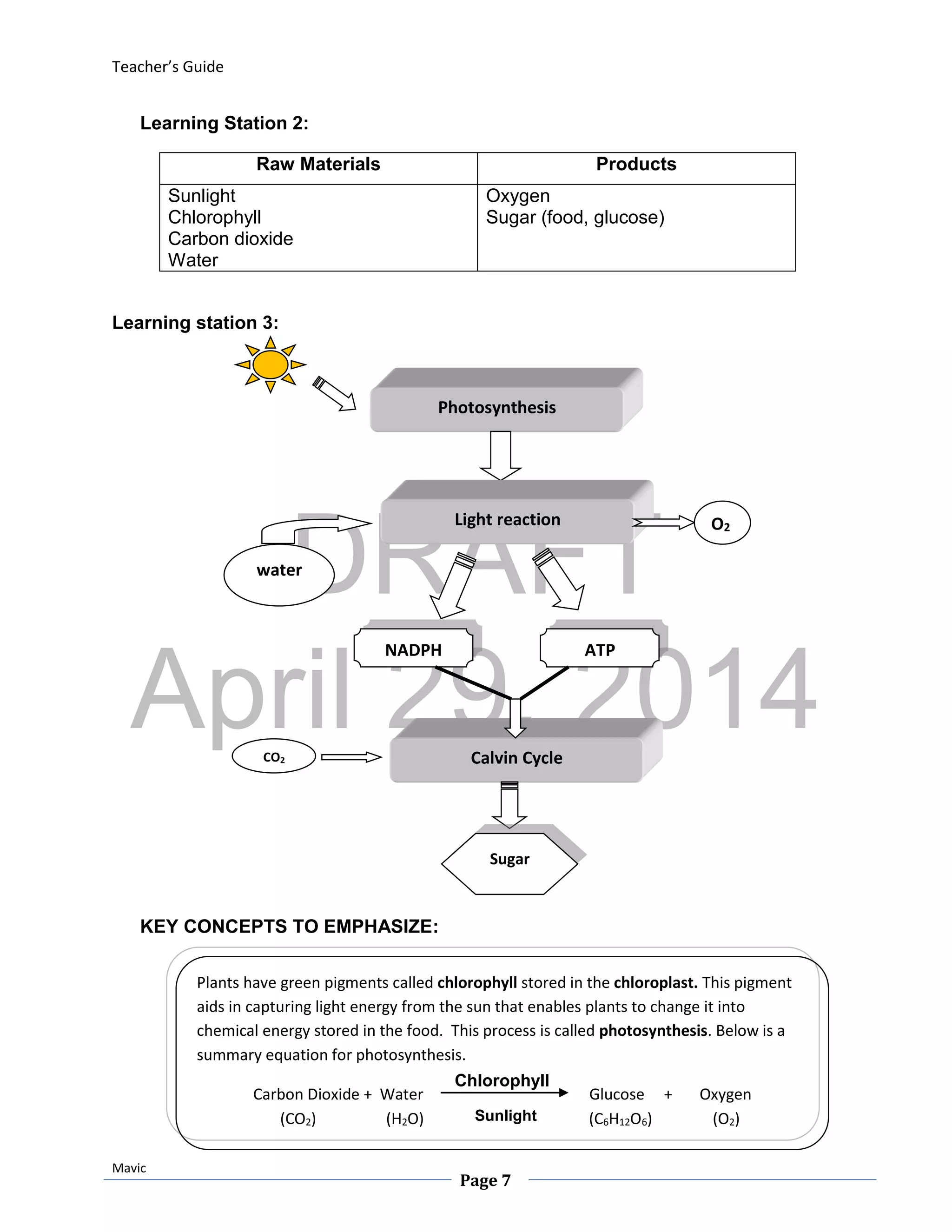 DRAFT
April 29, 2014
Teacher’s Guide
Mavic
Page 7
Learning Station 2:
Raw Materials Products
Sunlight
Chlorophyll
Carbon dioxide
Water
Oxygen
Sugar (food, glucose)
Learning station 3:
KEY CONCEPTS TO EMPHASIZE:
Photosynthesis
Light reaction
water
NADPH ATP
Calvin Cycle
O2
Sugar
CO2
Plants have green pigments called chlorophyll stored in the chloroplast. This pigment
aids in capturing light energy from the sun that enables plants to change it into
chemical energy stored in the food. This process is called photosynthesis. Below is a
summary equation for photosynthesis.
Carbon Dioxide + Water Glucose + Oxygen
(CO2) (H2O) (C6H12O6) (O2)
Chlorophyll
Sunlight
 