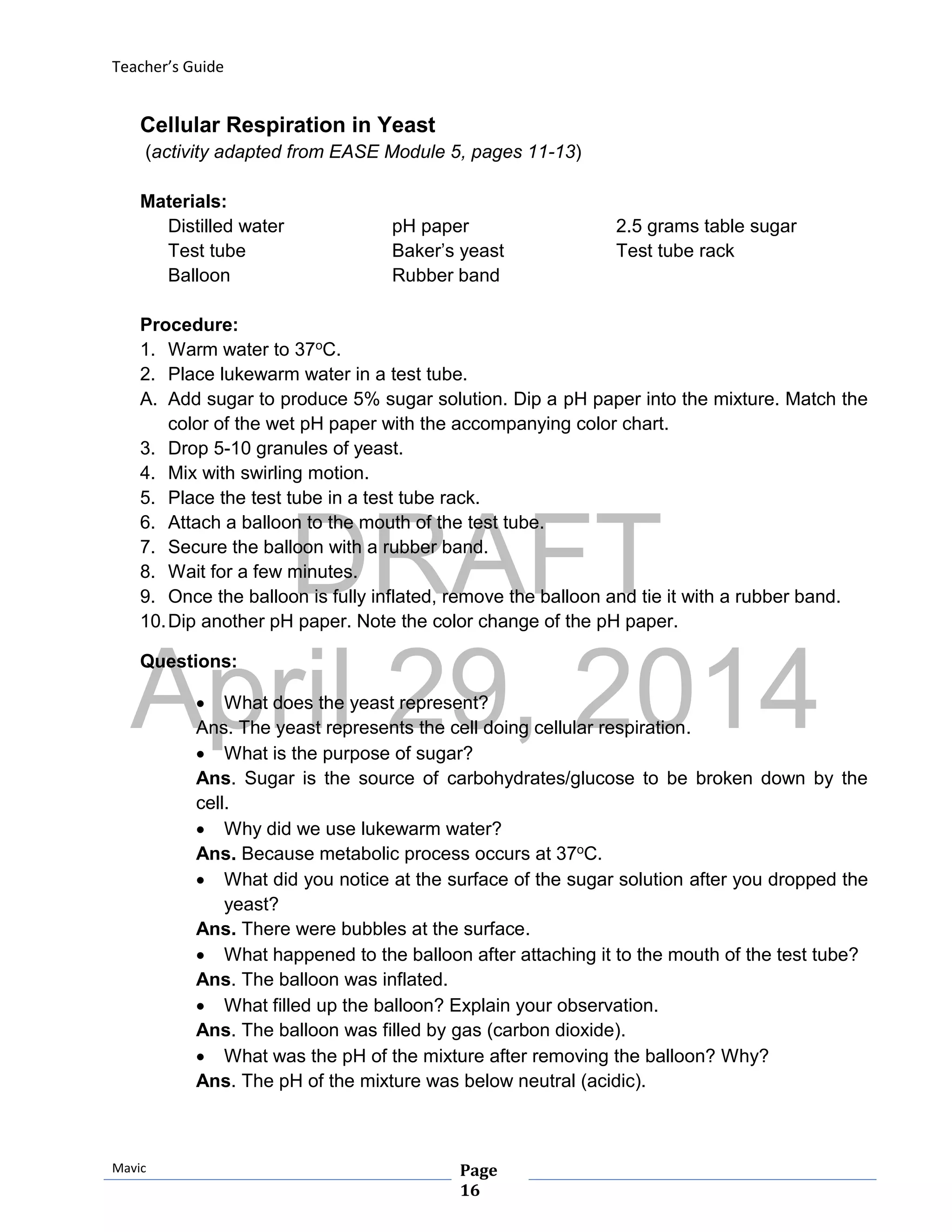DRAFT
April 29, 2014
Teacher’s Guide
Mavic Page
16
Cellular Respiration in Yeast
(activity adapted from EASE Module 5, pages 11-13)
Materials:
Distilled water pH paper 2.5 grams table sugar
Test tube Baker’s yeast Test tube rack
Balloon Rubber band
Procedure:
1. Warm water to 37oC.
2. Place lukewarm water in a test tube.
A. Add sugar to produce 5% sugar solution. Dip a pH paper into the mixture. Match the
color of the wet pH paper with the accompanying color chart.
3. Drop 5-10 granules of yeast.
4. Mix with swirling motion.
5. Place the test tube in a test tube rack.
6. Attach a balloon to the mouth of the test tube.
7. Secure the balloon with a rubber band.
8. Wait for a few minutes.
9. Once the balloon is fully inflated, remove the balloon and tie it with a rubber band.
10.Dip another pH paper. Note the color change of the pH paper.
Questions:
 What does the yeast represent?
Ans. The yeast represents the cell doing cellular respiration.
 What is the purpose of sugar?
Ans. Sugar is the source of carbohydrates/glucose to be broken down by the
cell.
 Why did we use lukewarm water?
Ans. Because metabolic process occurs at 37oC.
 What did you notice at the surface of the sugar solution after you dropped the
yeast?
Ans. There were bubbles at the surface.
 What happened to the balloon after attaching it to the mouth of the test tube?
Ans. The balloon was inflated.
 What filled up the balloon? Explain your observation.
Ans. The balloon was filled by gas (carbon dioxide).
 What was the pH of the mixture after removing the balloon? Why?
Ans. The pH of the mixture was below neutral (acidic).
 