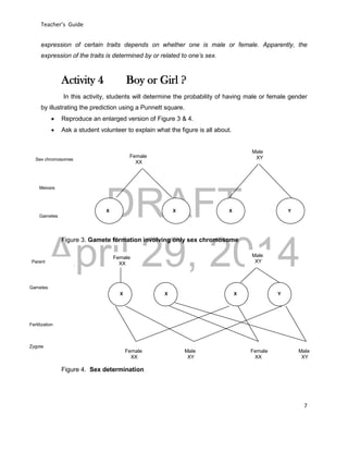 DRAFT
April 29, 2014
Teacher’s Guide
7
expression of certain traits depends on whether one is male or female. Apparently, the
expression of the traits is determined by or related to one’s sex.
Activity 4 Boy or Girl ?
In this activity, students will determine the probability of having male or female gender
by illustrating the prediction using a Punnett square.
 Reproduce an enlarged version of Figure 3 & 4.
 Ask a student volunteer to explain what the figure is all about.



Figure 3. Gamete formation involving only sex chromosome
Figure 4. Sex determination
Female
XX
Male
XY
X X X Y
Female
XX
Male
XY
Male
XY
Male
XY
Female
XX
Parent
Fertilization
Gametes
Zygote
Meiosis
GametesGametes
XX XX X Y
Female
XX
Male
XYSex chromosomes
 